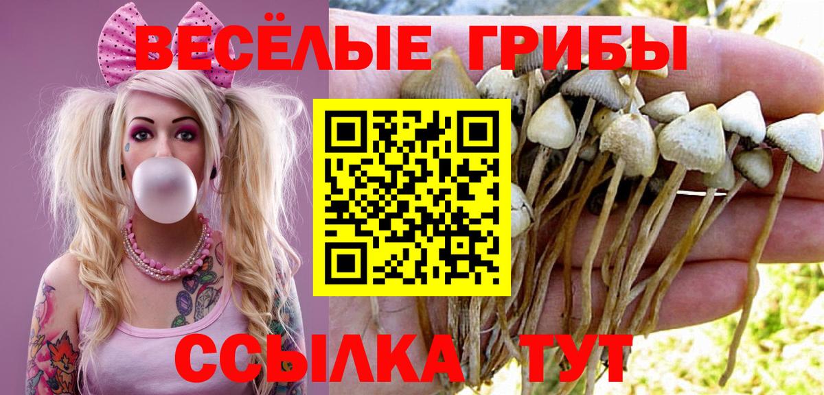 Псилоцибиновые грибы прущие грибы  Богородицк  Галлюциногенные грибы Magic Shrooms 