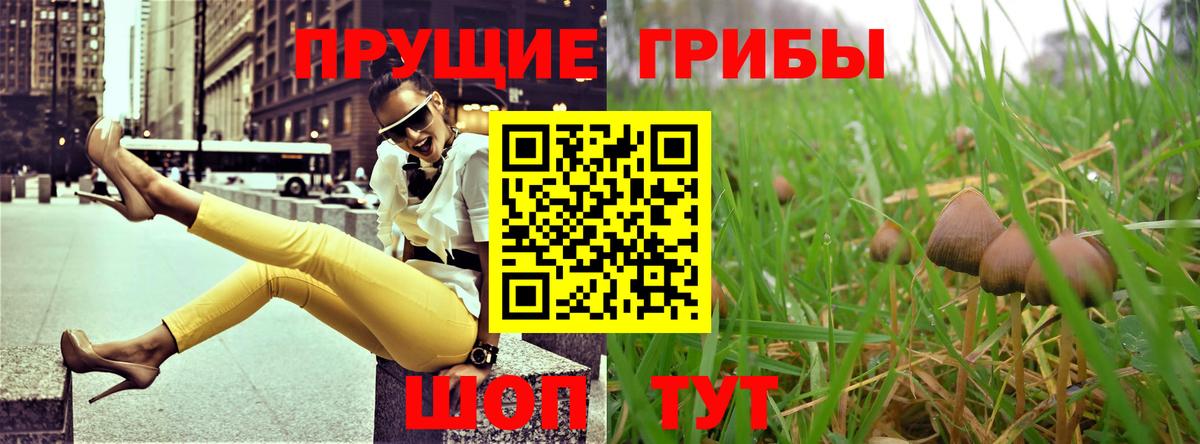 Богородицк  Галлюциногенные грибы прущие грибы  Вход с VPN 