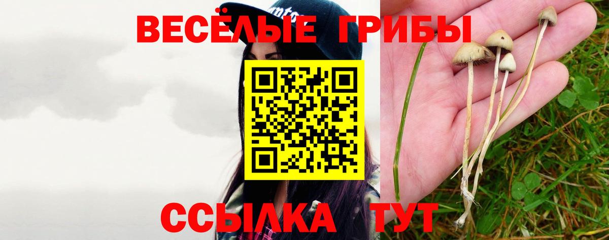 Галлюциногенные грибы мицелий Богородицк